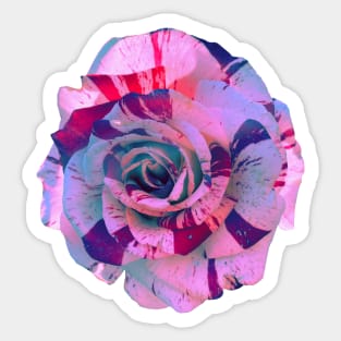 Galaxy Rose Sticker